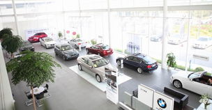 江門市合寶汽車銷售服務(wù) 專業(yè)與品質(zhì)并行的汽車銷售典范